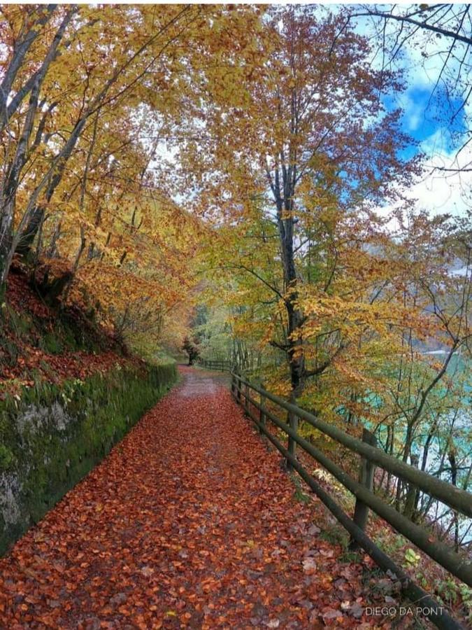 세시오마지오레 Colori Nel Parco 아파트 외부 사진
